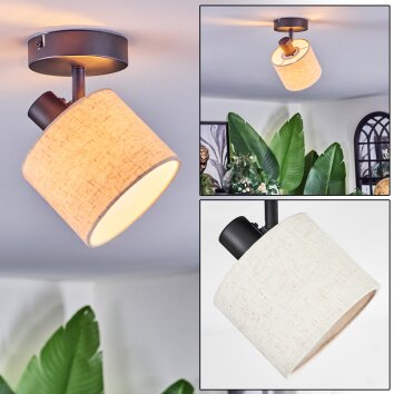 Bassagoda Plafones, Spot techo Negro, 1 luz