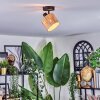 Granja Plafones, Spot techo Negro, 1 luz