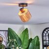 Granja Plafones, Spot techo Negro, 1 luz