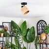 Granja Plafones, Spot techo Negro, 1 luz