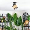 Ramila Plafones, Spot techo Negro, 1 luz