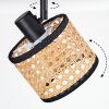 Ramila Plafones, Spot techo Negro, 1 luz