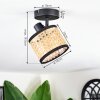 Ramila Plafones, Spot techo Negro, 1 luz