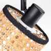 Ramila Plafones, Spot techo Negro, 1 luz