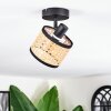 Ramila Plafones, Spot techo Negro, 1 luz