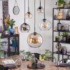 Koyoto Lámparas suspendidas, Luminarias esféricas, Lámparas colgantes Colores ámbar, Transparente, Ahumado, 5 luces