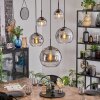 Koyoto Lámparas suspendidas, Luminarias esféricas, Lámparas colgantes Transparente, Ahumado, 5 luces
