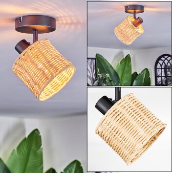 Cavaca Plafones, Spot techo Negro, 1 luz