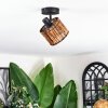Cando Plafones, Spot techo Negro, 1 luz