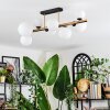 Chehalis Plafones, Luminarias esféricas dorado, Negro, 8 luces