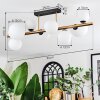 Chehalis Plafones, Luminarias esféricas dorado, Negro, 8 luces
