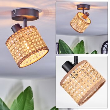 Barcos Plafones, Spot techo Negro, 1 luz