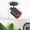 Fallhagen Plafones, Spot techo Negro, 1 luz