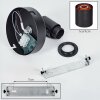 Fallhagen Plafones, Spot techo Negro, 1 luz