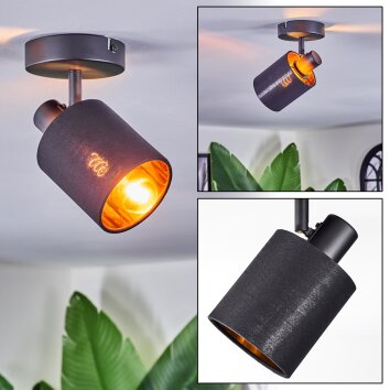 Fallhagen Plafones, Spot techo Negro, 1 luz