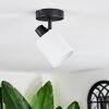 Fallhagen Plafones, Spot techo Negro, 1 luz