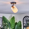 Fallhagen Plafones, Spot techo Negro, 1 luz