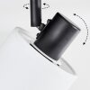 Fallhagen Plafones, Spot techo Negro, 1 luz