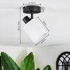 Fallhagen Plafones, Spot techo Negro, 1 luz