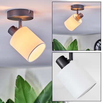 Fallhagen Plafones, Spot techo Negro, 1 luz