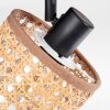 Barcos Plafones, Spot techo Negro, 2 luces