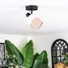 Fallhagen Plafones, Spot techo Negro, 1 luz