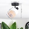 Fallhagen Plafones, Spot techo Negro, 1 luz