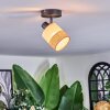Fallhagen Plafones, Spot techo Negro, 1 luz