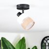 Fallhagen Plafones, Spot techo Negro, 1 luz