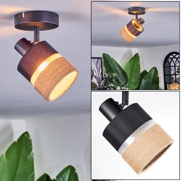 Fallhagen Plafones, Spot techo Negro, 1 luz