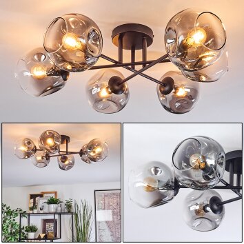 Ripoll Plafones, Luminarias esféricas Transparente, Ahumado, 6 luces