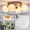 Chehalis Plafones, Luminarias esféricas Blanca, 4 luces