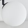 Chehalis Plafones, Luminarias esféricas Blanca, 4 luces