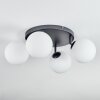 Chehalis Plafones, Luminarias esféricas Blanca, 4 luces