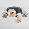 Chehalis Plafones, Luminarias esféricas Colores ámbar, Ahumado, 4 luces