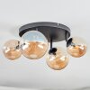 Chehalis Plafones, Luminarias esféricas Colores ámbar, 4 luces
