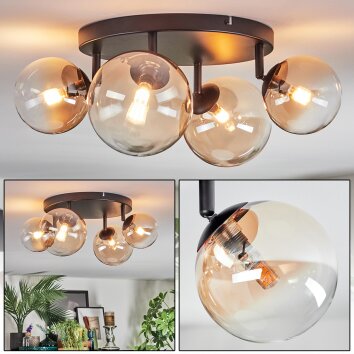 Chehalis Plafones, Luminarias esféricas Colores ámbar, Transparente, 4 luces
