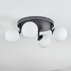 Chehalis Plafones, Luminarias esféricas Blanca, 4 luces