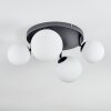 Chehalis Plafones, Luminarias esféricas Blanca, 4 luces