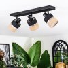 Fallhagen Plafones, Spot techo Negro, 3 luces