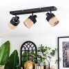 Fallhagen Plafones, Spot techo Negro, 3 luces