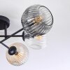 Ripoll Plafones, Luminarias esféricas Colores ámbar, Transparente, Ahumado, 6 luces