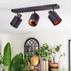 Fallhagen Plafones, Spot techo Negro, 3 luces