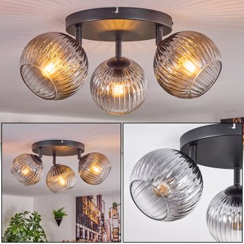 Koyoto Plafones, Luminarias esféricas Transparente, Ahumado, 3 luces