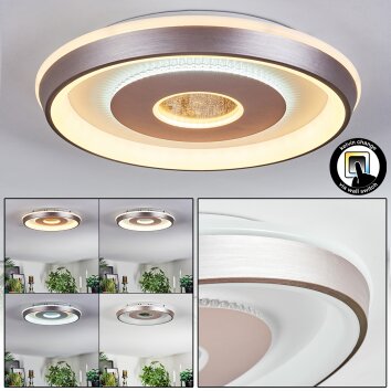 Dakon Plafones LED Color champán, Blanca, 1 luz