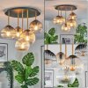 Koyoto Plafones, Luminarias esféricas Latón, Negro, 5 luces