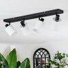 Fallhagen Plafones, Spot techo Negro, 4 luces