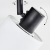 Fallhagen Plafones, Spot techo Negro, 4 luces