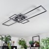 Manor Plafones LED Negro, 1 luz