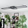Manor Plafones LED Negro, 1 luz